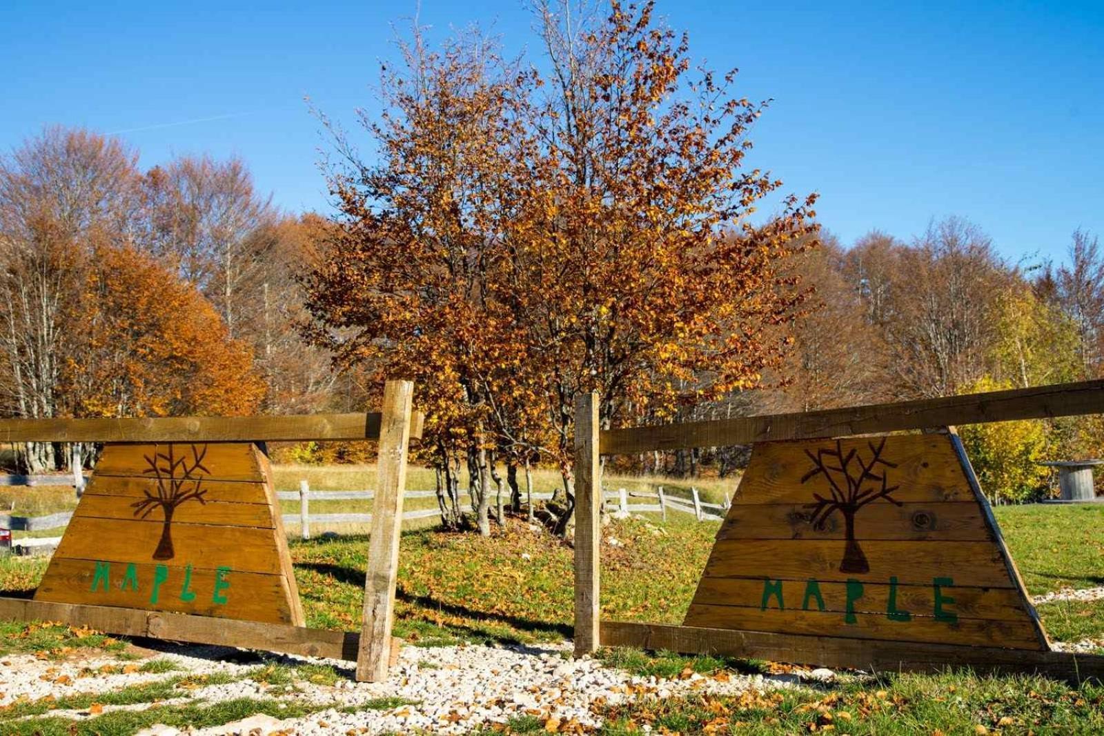 Maple Bungalows Žabljak Extérieur photo